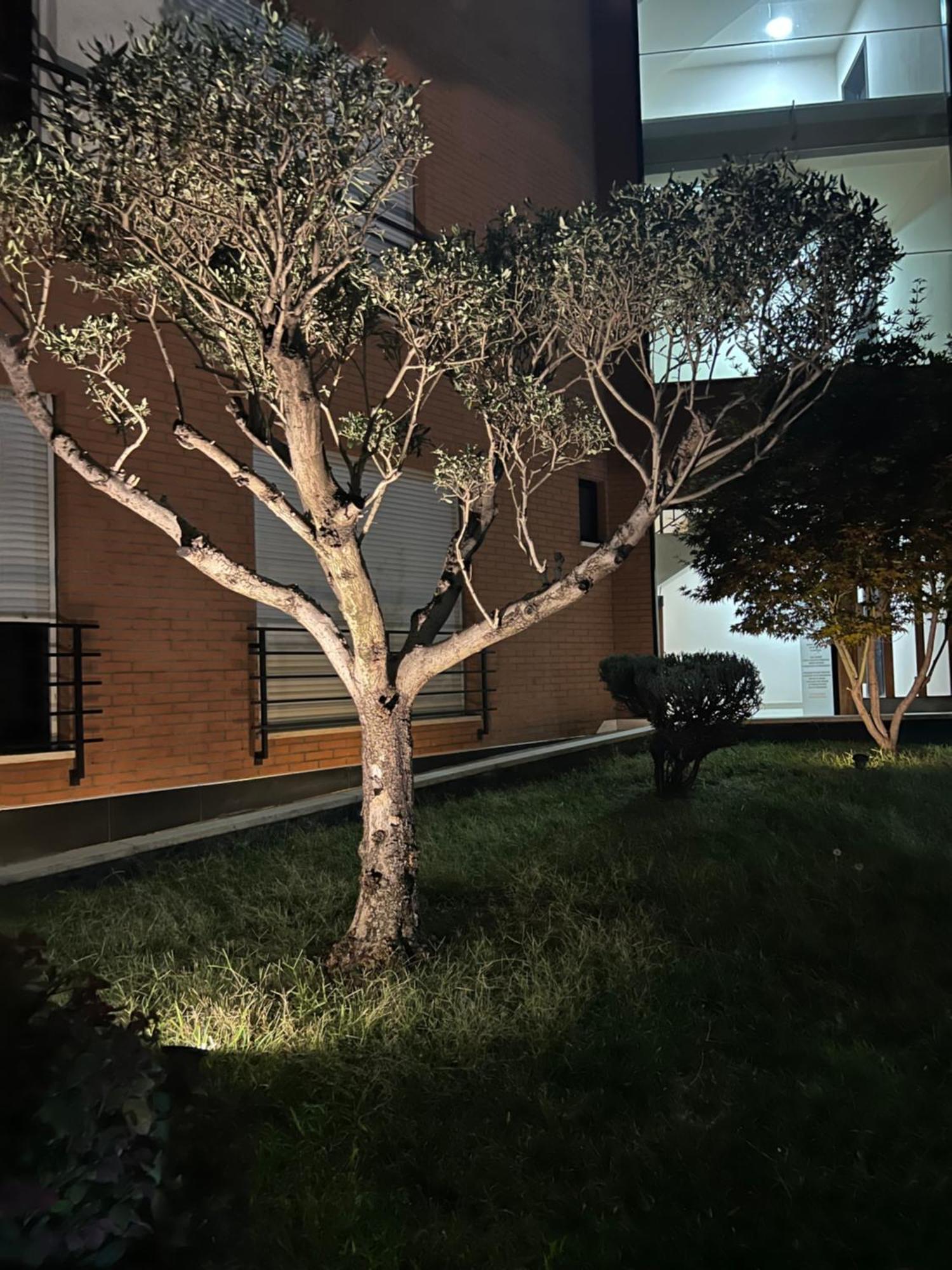Nemis Apartments In The Centre Of Tirana Four Free Parking Luaran gambar